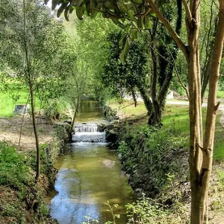 A Casa Da Sogra *